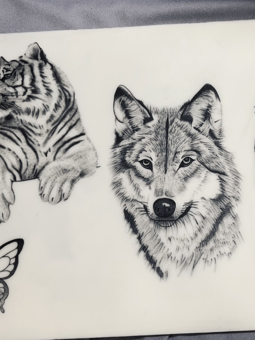 動物練習